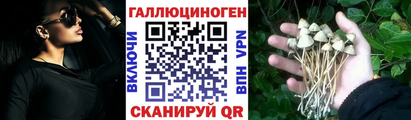 Псилоцибиновые грибы Psilocybe MEGA онион Эртиль